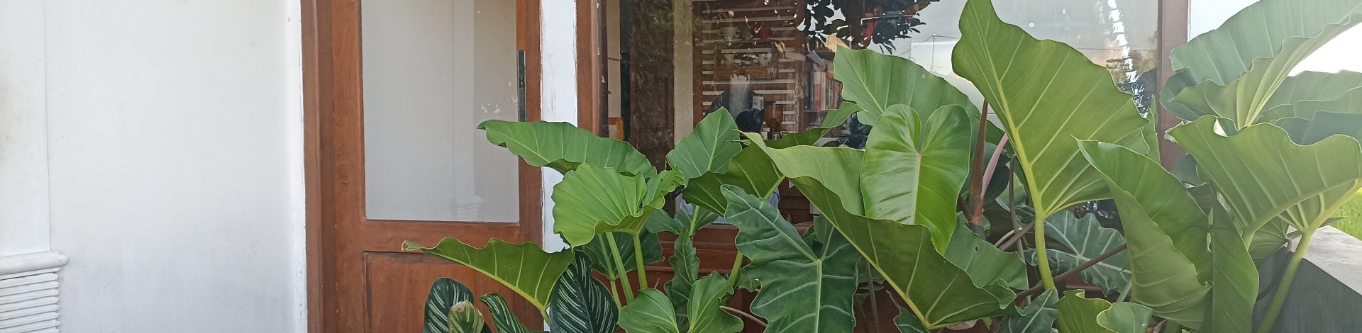 Gimbo Coffee Roastery