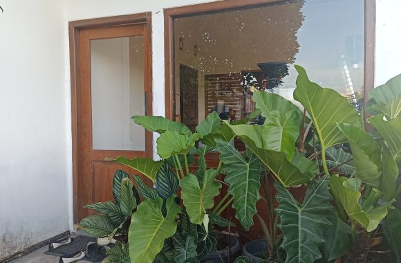 Gimbo Coffee Roastery